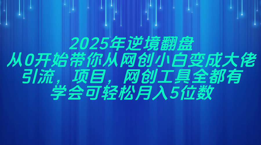 2025年逆境翻盘，从0开始带你从网创小白变成大佬，引流，项目，网创工…资源站资源站