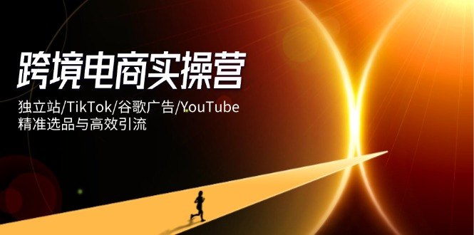 跨境电商实操营：独立站/TikTok/谷歌广告/YouTube，精准选品与高效引流 资源站资源站