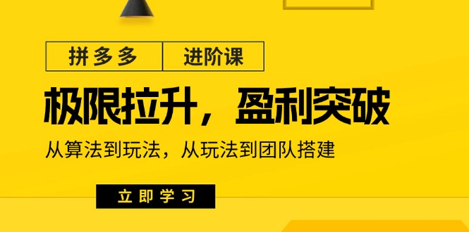 拼多多·进阶课：极限拉升/盈利突破：从算法到玩法 从玩法到团队搭建-18节资源站资源站